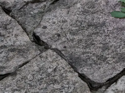 Stone Wall with Leaves 3D model