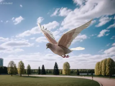  Lowpoly Ferals Dove Flying Position Brown 