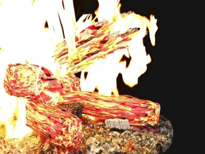 Camp Fire 3D model