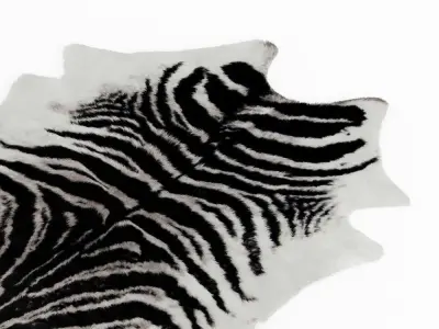 Zebra Black And White Rug 3D model