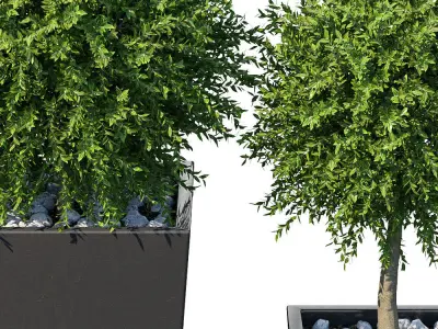 Plant in the pot I 3D model