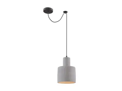 Pendant Lamp Broni T439-PL-01-GR Maytoni Loft Free 3D model