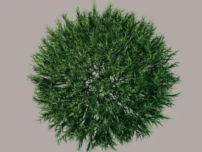 Fine Fescues 3D model