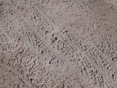 Rugged Beach Sand with Tire Tracks  Texture