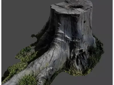 Treetrunkbase tree stump with grass 3D model