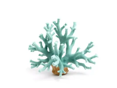 Turquoise Coral model pack Low-poly 3D model purchase
