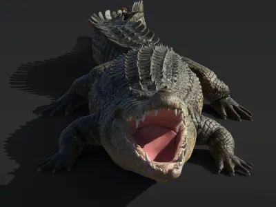  Saltwater Crocodile Rigged 
