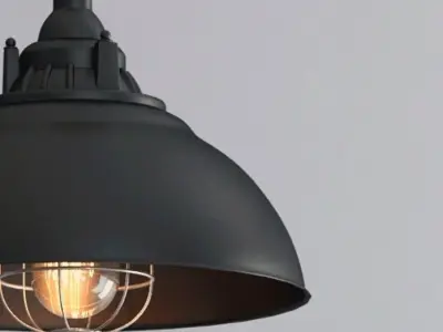 Hanging lamp LOFT HOUSE P-188 3D model