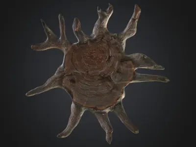 Old tree stump 3D model