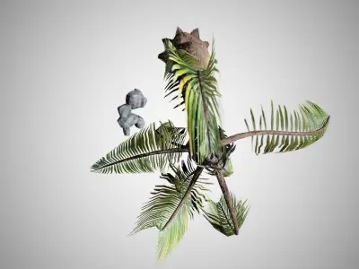 Beach Palm Tree Low-poly 3D model