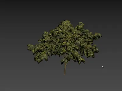 Low Poly Tree Autumn Stylish Low-poly 3D model