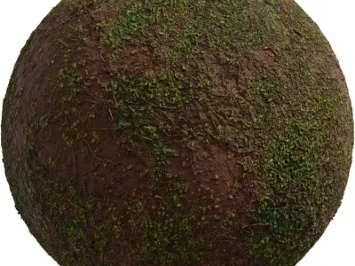 Wet Muddy Soil With Green Grass Sprouts Texture