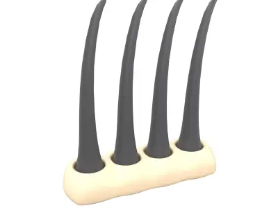 Hair Follicle Macro Icon v1 001 Low-poly 3D model