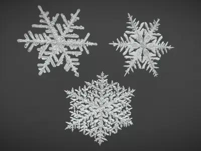 Snowflakes Multipack  3D model