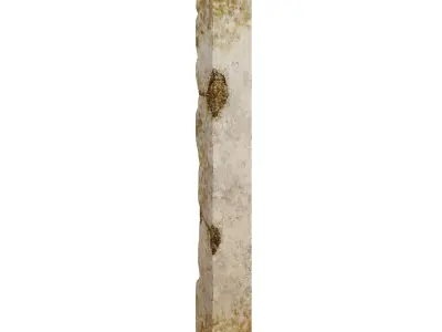 Damaged Column Low-poly 3D model