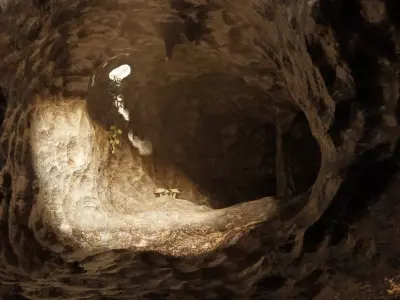 Cave V1  - Underground Tunnel Environment with Vegetation 3D model