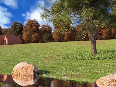 exterior 1 house in field with pond 3D model