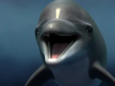  Dolphin Bottlenose Rigged 