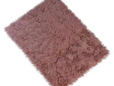 Carpet fur rug 3D model