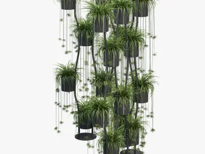 Para vert two 3D model