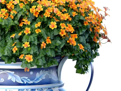 Bouquet of flowers in floor vase pot for decorating  3D model