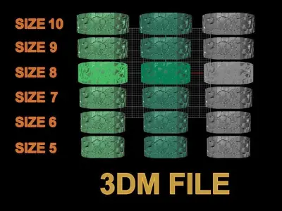 Gold Nugget Signet Ring Band Mix Size 3D print model