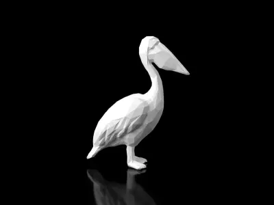 Pelican Low Poligonal Low-poly 3D model