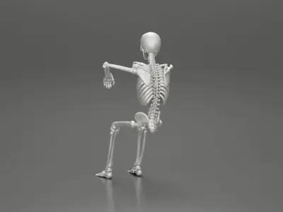 Skeleton with arm on window driving the car 3D print model
