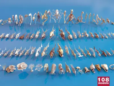 Fish and Underwater Creatures Skeleton Collection Low-poly 3D model