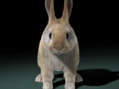  Rabbit Cream (ANIMATED) (FUR) 
