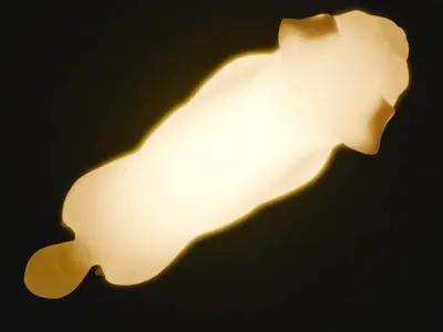 Indirect lighting for pug 3D model