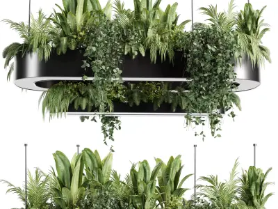 Indoorplants-Hanging plant With light-set33 3D model