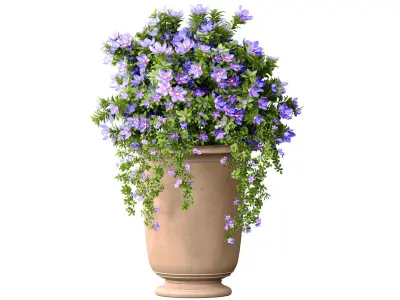 Petunia flower bed bouquet plant in decorative vase pot 3D model