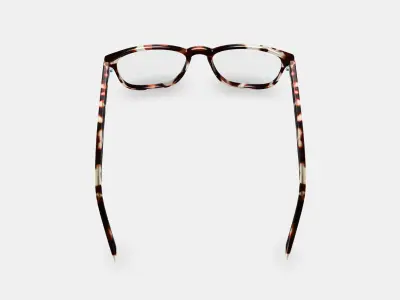 Vaughan Eyeglasses in Burnt Lemon Tortoise 3D model