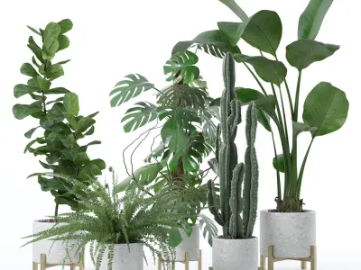  20 Photorealistic Flowers for Interiors - set 118- 121- 125- 128 3D Model Collection 