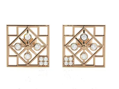 Light wt Women Diamond Earrings  3D print model