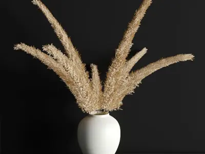 pampas grass 3D model