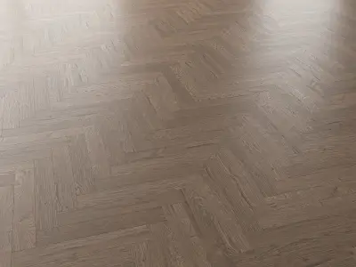  Parquet Oak Missisippi WWL set 2 3D model