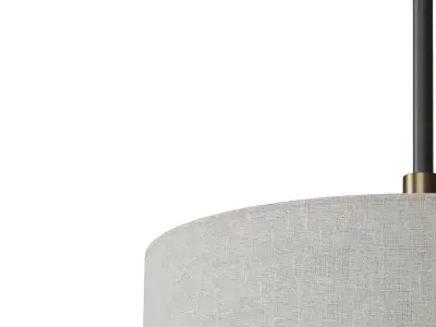 Gravity Pendant 3D model