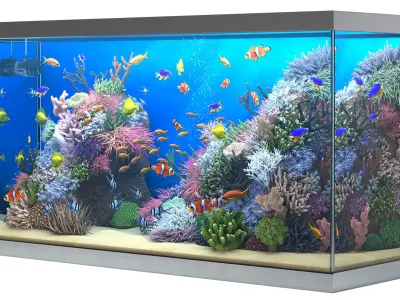  Marine aquarium 