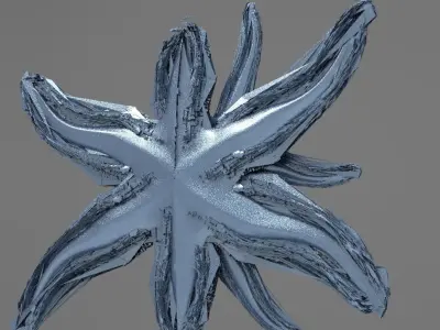 Starfish Sci fi pathway 3D model