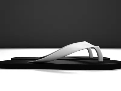 Flip-Flops flip flops 3D model