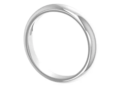 Women Ring  Render 3dm STL OBJ FBX Details 3D print model 250