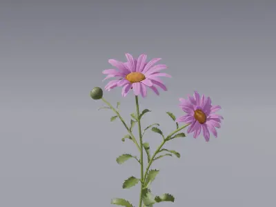  Flower collection vol06 Daisy 