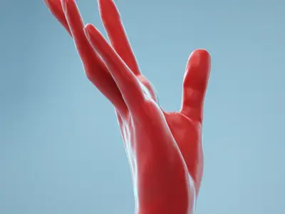  13 Female Hands Collection 