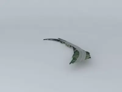 Claremont Mountain Access Free 3D model