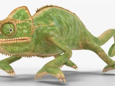  Chamelion Animated Rigged for Blender 