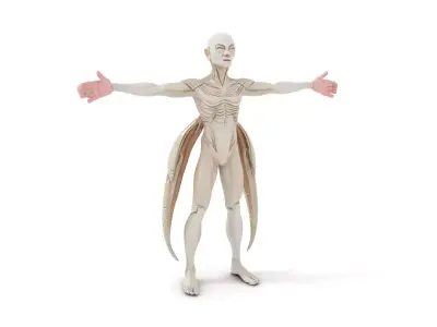 Futuristic Alien Warrior model pack Low-poly 3D model