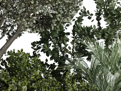 green plant in box exterior set 530 3D model