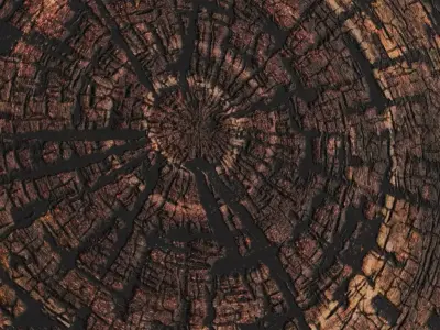 Charred Burnt Wood Bark PBR Seamless Texture